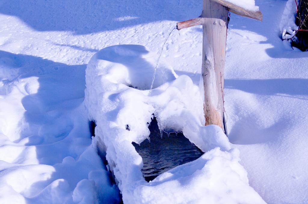 Alpenrösle Lägenhet Balderschwang Exteriör bild